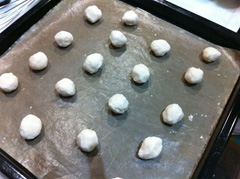 101128_snowball_7.jpg