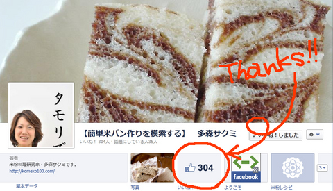 121108_Thanks300_page.jpg