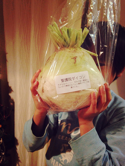 141212_Hototogisu01.jpg