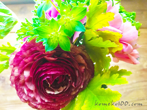 170222_flower_ceyron.jpg